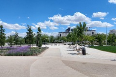 IMG_20180701_140838273_HDR