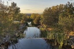 IMG_20210929_193106062_HDR
