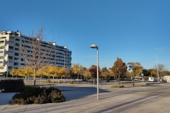 IMG_20211117_170016448_HDR